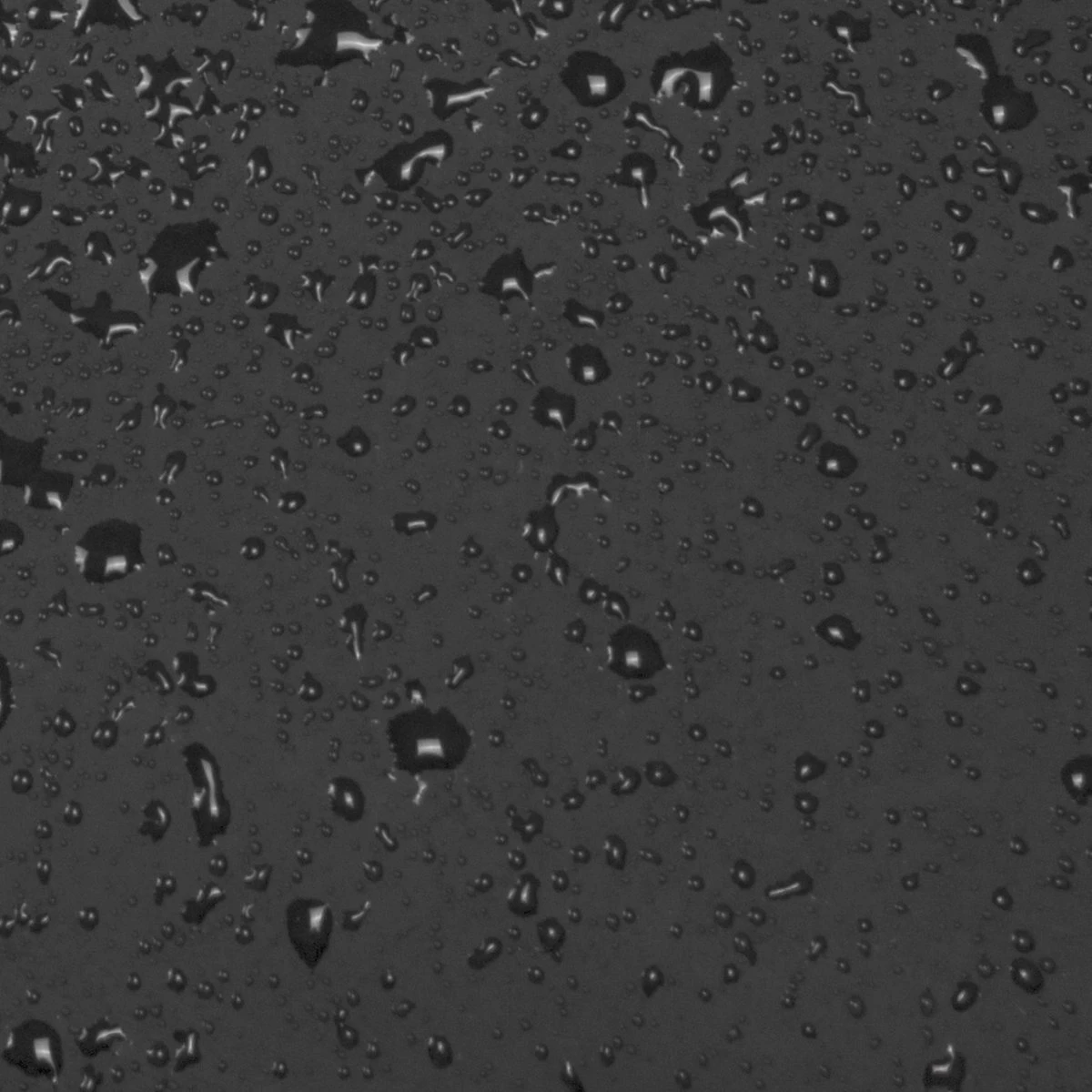 New Rebels® Harper - Rugtas - Zwart - Waterbestendig - 9L - 28x8x38cm - Rugzak / Backpack - Afbeelding 17