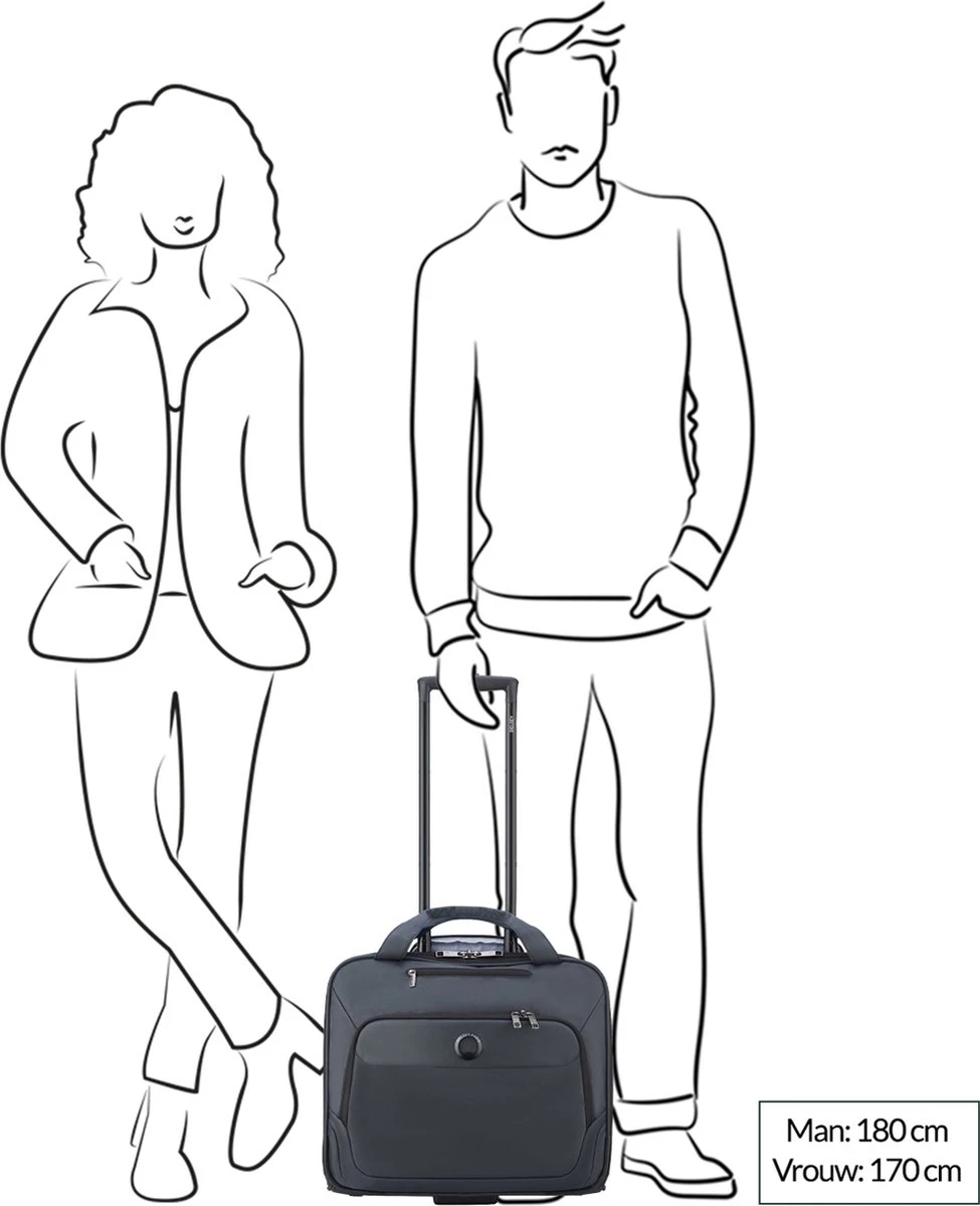 Delsey Parvis Plus Trolley L - 17.3 Inch Laptopvak - Grijs - Afbeelding 2